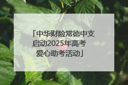中华财险常德中支启动2025年高考爱心助考活动